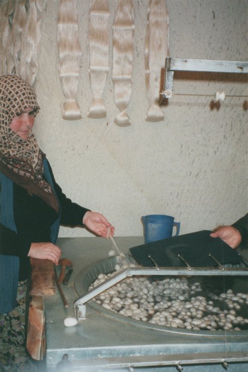 Silk processing in Turkey